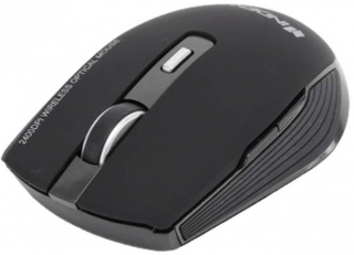 Indena G-219 2400 Mouse