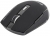 Indena G-219 2400 Mouse