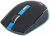 Indena G-219 2400 Mouse