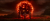 Mortal Kombat 1 Xbox
