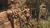 Rise Of The Tomb Raider 20 Year PC