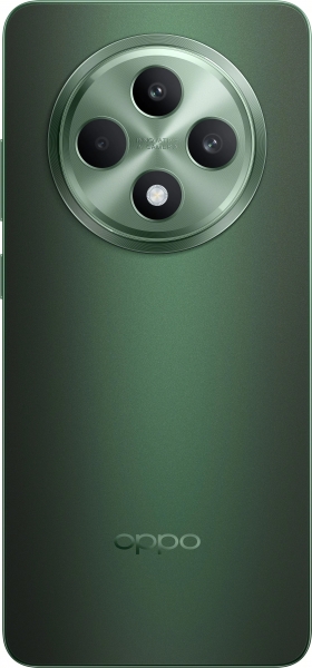 Oppo Reno11 FS