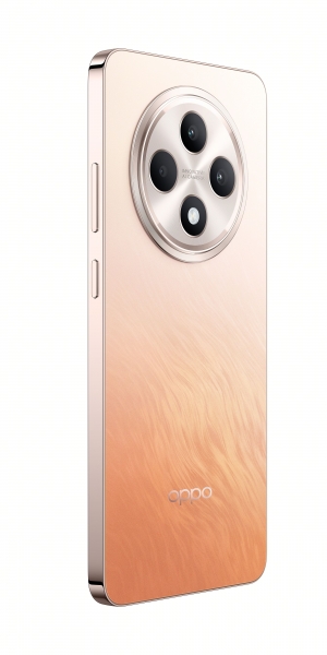Oppo Reno11 FS