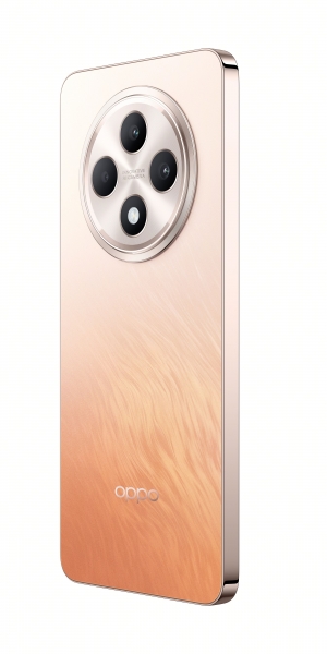Oppo Reno11 FS