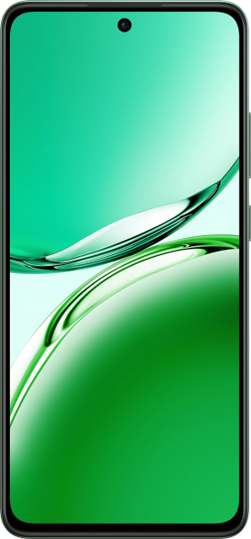 Oppo Reno11 FS