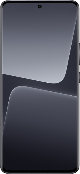 Xiaomi 13 Pro (256 GB)