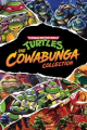 Teenage Mutant Ninja Turtles The Cowabunga Collection PS resim