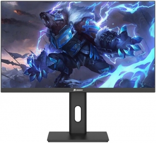 GameBooster GB-2518FF Monitör
