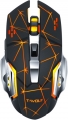 CBTX Q13 resim