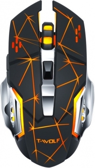 CBTX Q13 Mouse
