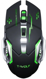 CBTX Q13 Mouse