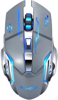 CBTX Q13 Mouse