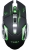 CBTX Q13 Mouse