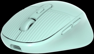 Coverzone G01 Mouse