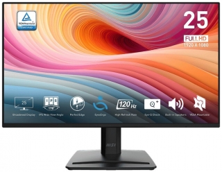 MSI Pro MP252 E2 Monitör
