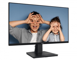 MSI Pro MP251DE Monitör