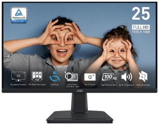 MSI Pro MP251DE Monitör