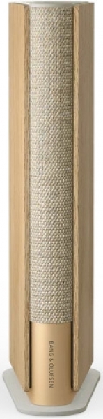 Bang & Olufsen Beosound Emerge Çoklu Oda