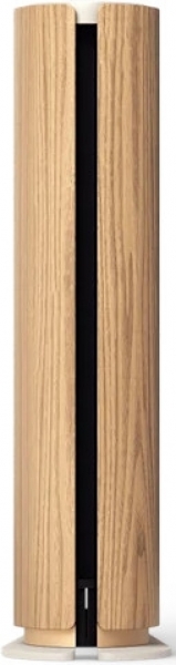 Bang & Olufsen Beosound Emerge Çoklu Oda