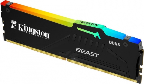 Kingston Beast RGB 32 GB 5600 MT