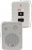 Lastvoice ST-40TW Hoparlör