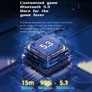 Torima Pro 70 Tam Kablosuz Kulaklık
