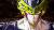 Dragon Ball Sparking Zero Ultimate Edition PC