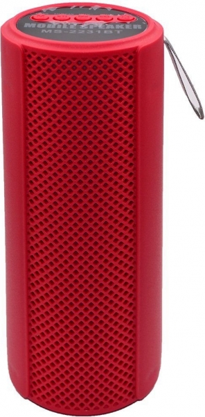 Dvip MS-2231BT Bluetooth Hoparlör