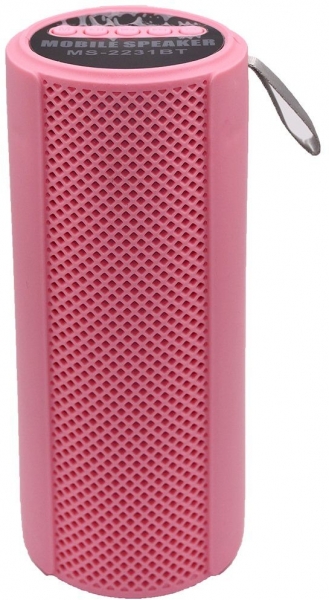 Dvip MS-2231BT Bluetooth Hoparlör