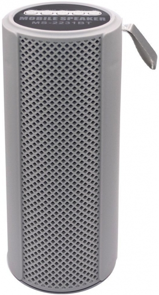 Dvip MS-2231BT Bluetooth Hoparlör