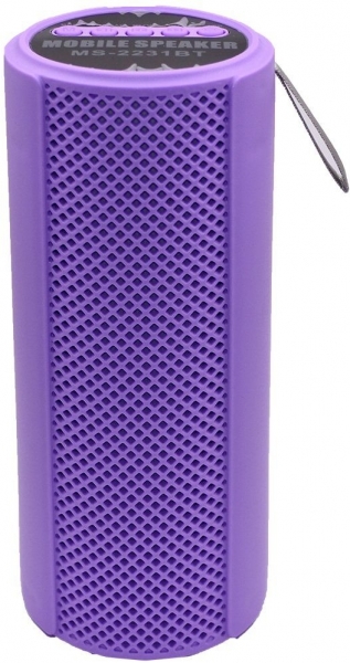 Dvip MS-2231BT Bluetooth Hoparlör