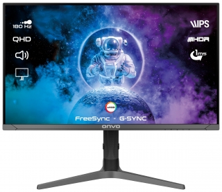 Onvo OV32MNT301GQ Monitör