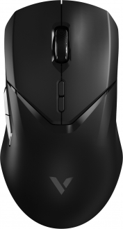 Rapoo VT9Pro Mouse