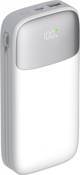 Nettech NT-PW31 20000 mAh Powerbank