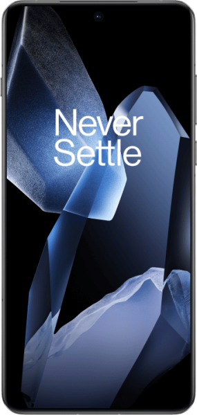 OnePlus 13