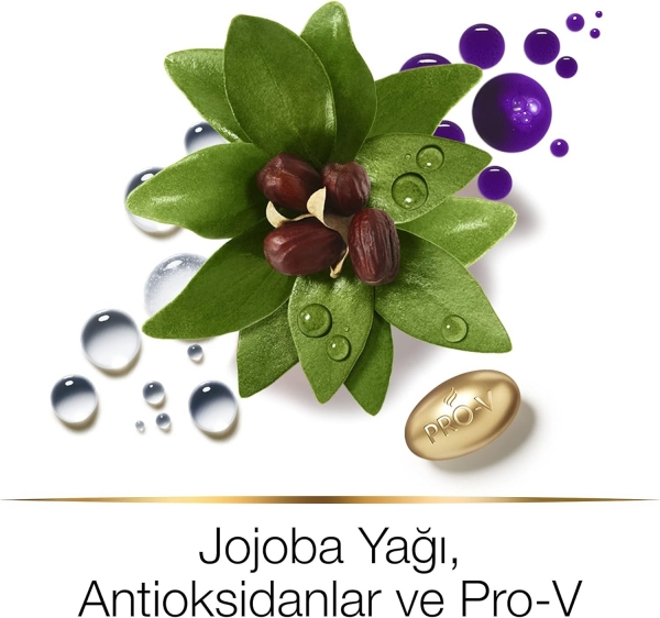 Pantene Pro-V Hair Biology 250 ml Şampuan