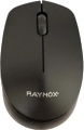 Raynox RX-M204 resim
