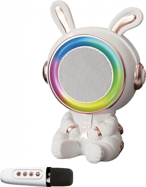 Sunix BTS-252 Bluetooth Hoparlör