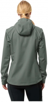 Jack Wolfskin Bornberg Hoody W Kadın Rüzgarlık