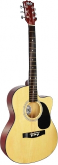 Midex RG-540 Akustik Gitar