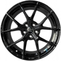 MSW P1 8X18