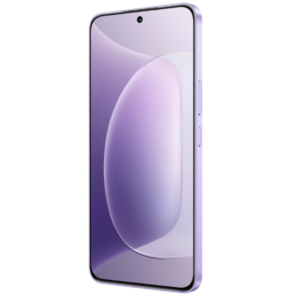 Honor 300