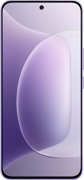 Honor 300