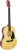 Midex RG-530 Akustik Gitar