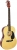 Midex RG-550 Akustik Gitar