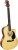 Midex RG-560BK Elektro Akustik Gitar