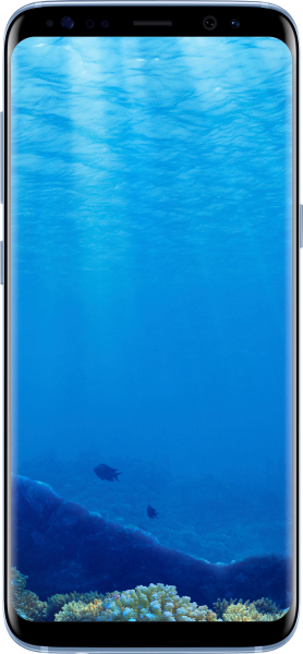 Samsung Galaxy S8 (Dual) (Çift Hat)