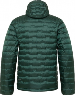 Jack Wolfskin Passamani Down Hoody Erkek Şişme Mont