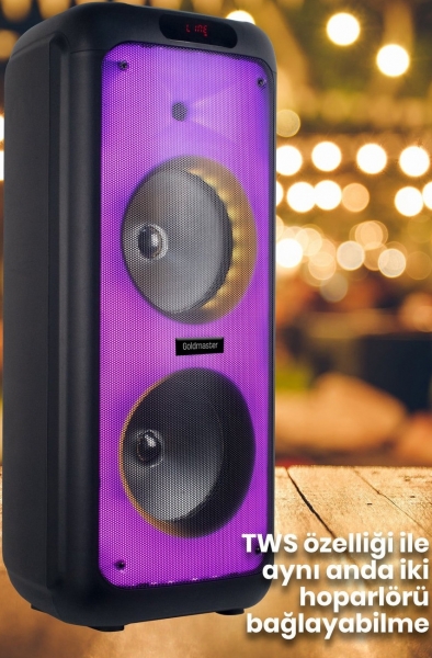 Goldmaster Neon X100 Müzik Sistemi