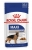 Royal Canin Maxi Adult Gravy 140 gr Köpek Maması